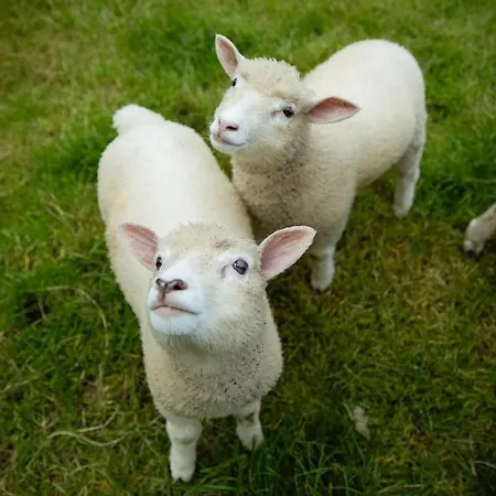 Stylish Dublin Coastal As Seen On Tv *