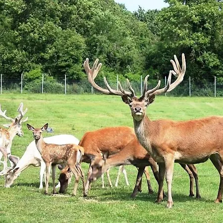 Stylish Dublin Coastal As Seen On Tv