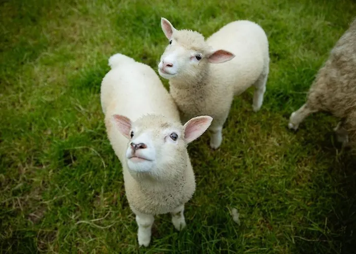 Stylish Dublin Coastal As Seen On Tv *