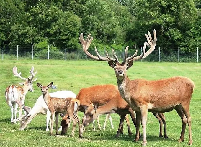 Stylish Dublin Coastal As Seen On Tv